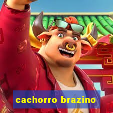 cachorro brazino